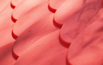 Glasshouses plastic roof costs