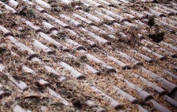 Glasshouses roof cleaning companies